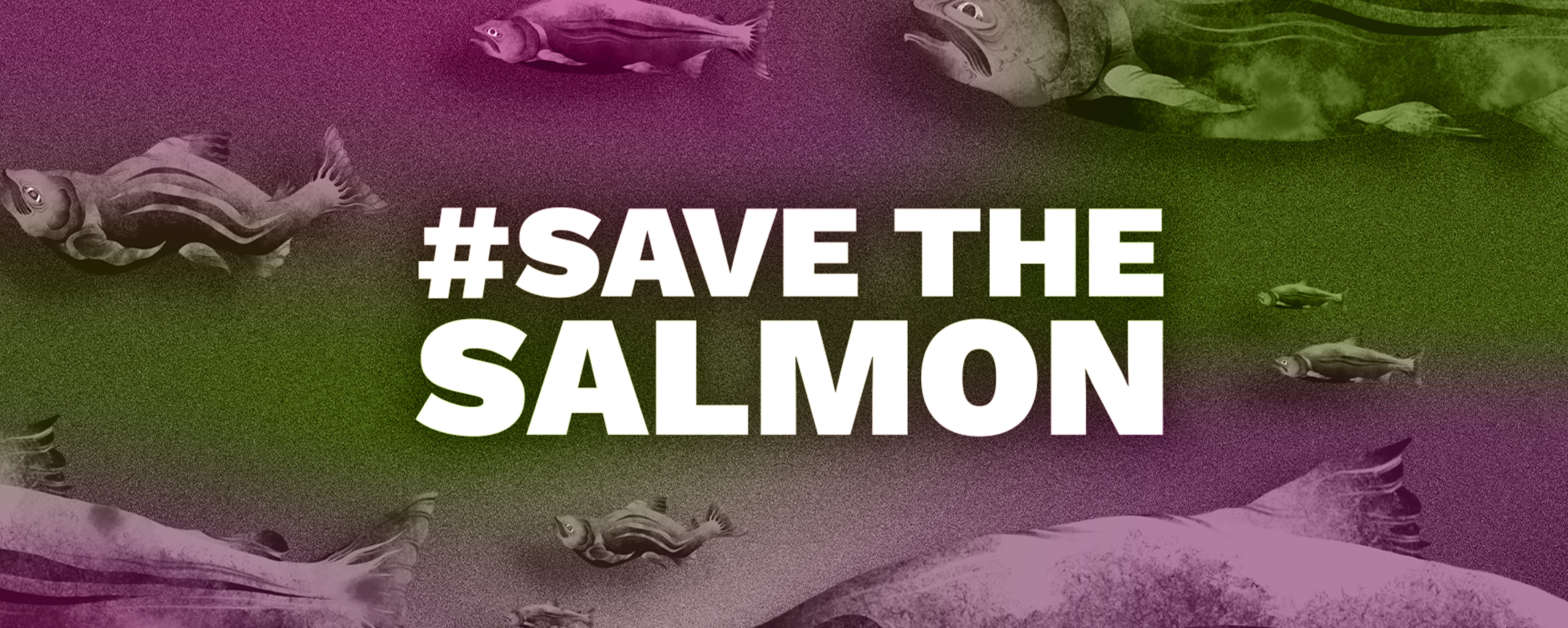 #Save The Salmon campaign